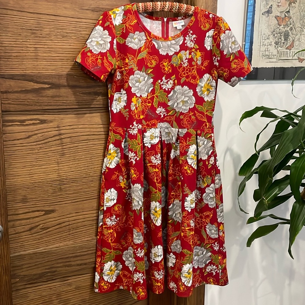 LulaRoe dress